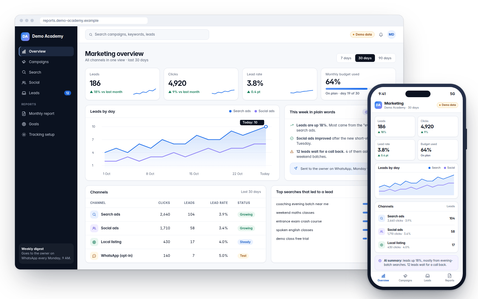 Demo screens: a marketing and ads dashboard (demo data)