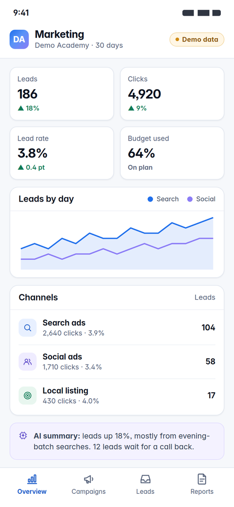 Demo screen: a marketing dashboard on a phone (demo data)